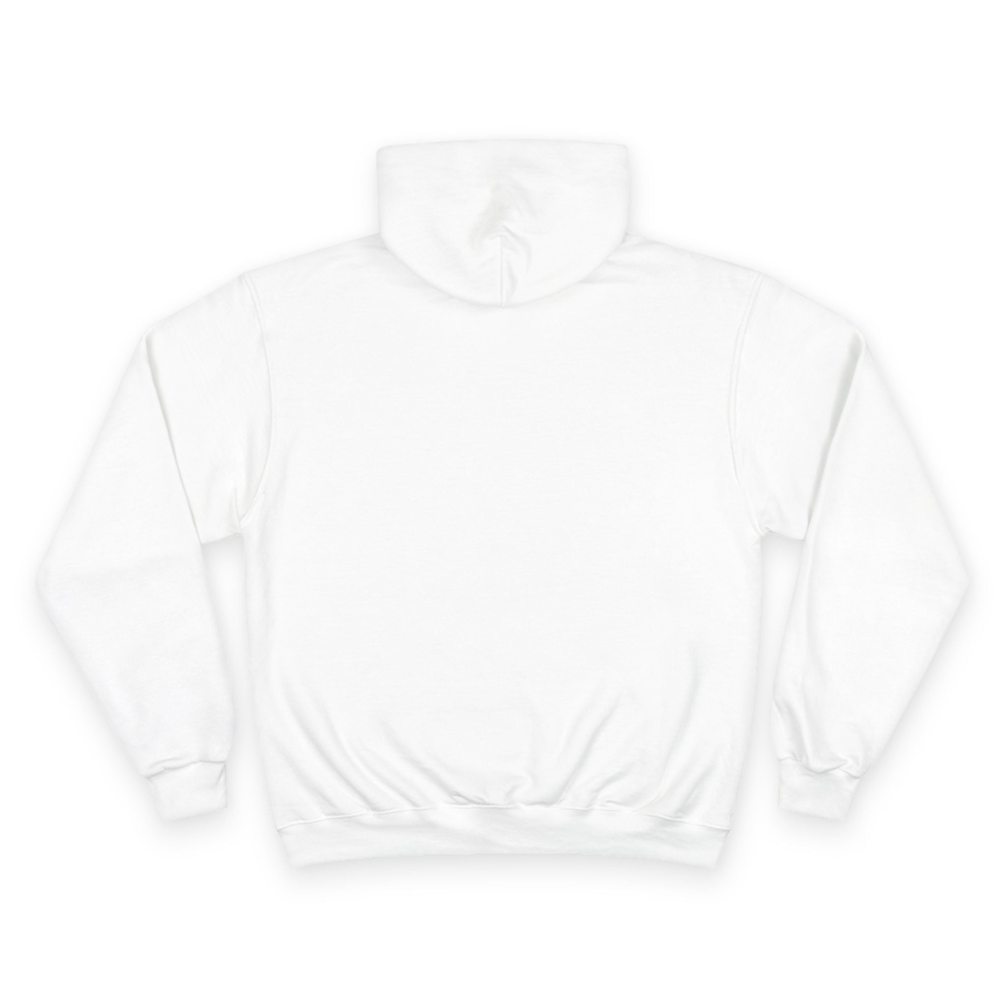 funny shih tzu hoodie | dog mom champion sweatshirt gift | kumi tzu